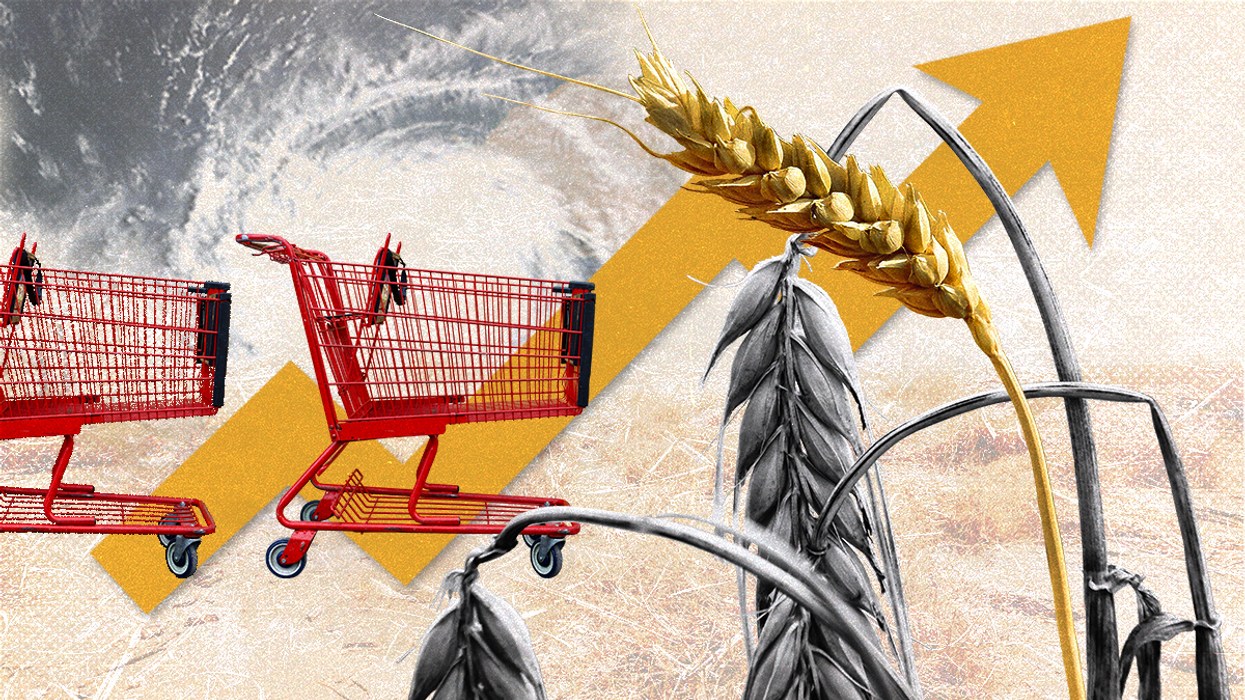 A collage depicting food price increases.