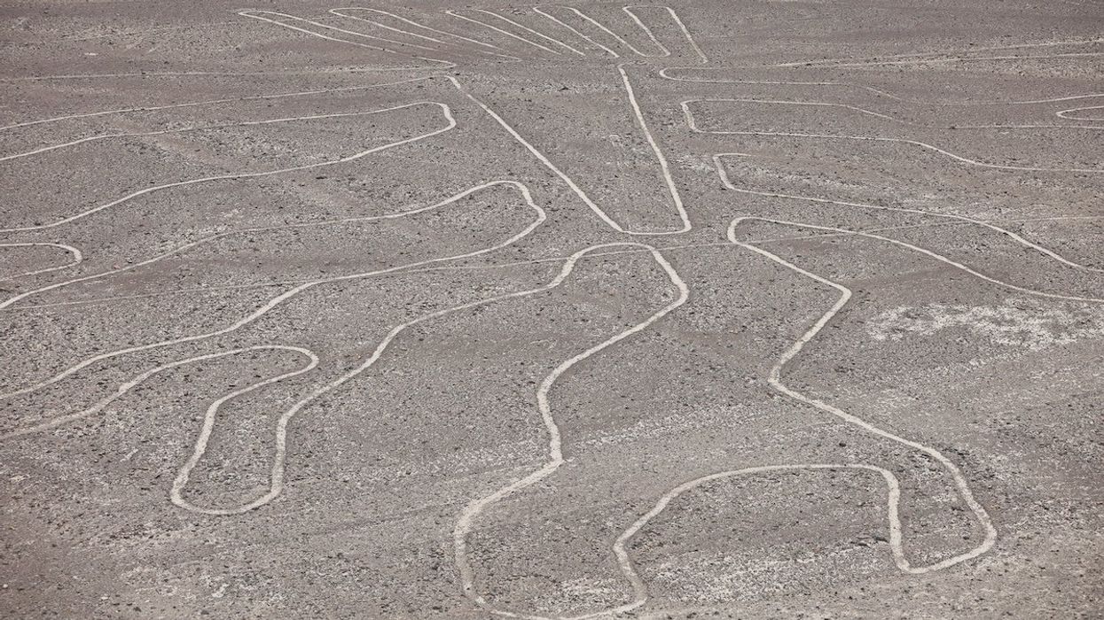 A drone view shows an ancient geoglyph depicting a tree at the Nazca Lines archaeological area in Nazca, Peru, January 18, 2024.