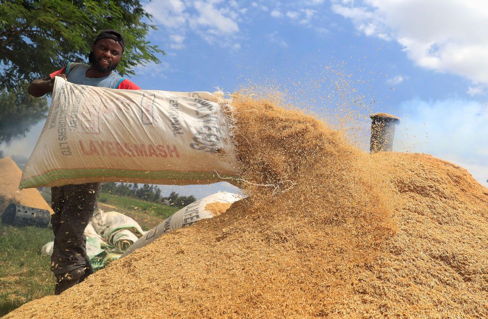 a farmer emptying a sack of produce