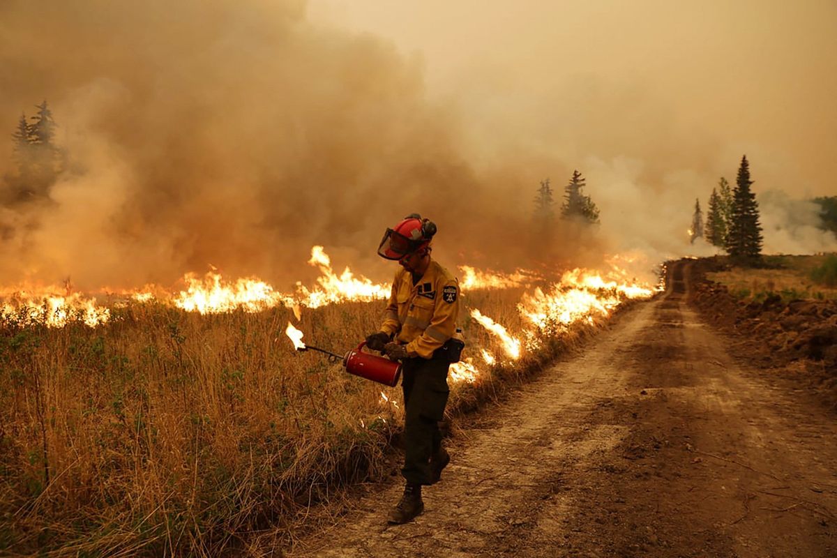 A firefighter conducts a controlled ignition on the Sturgeon Lake Wildfire Complex GCX001 near Valleyview, Alberta.