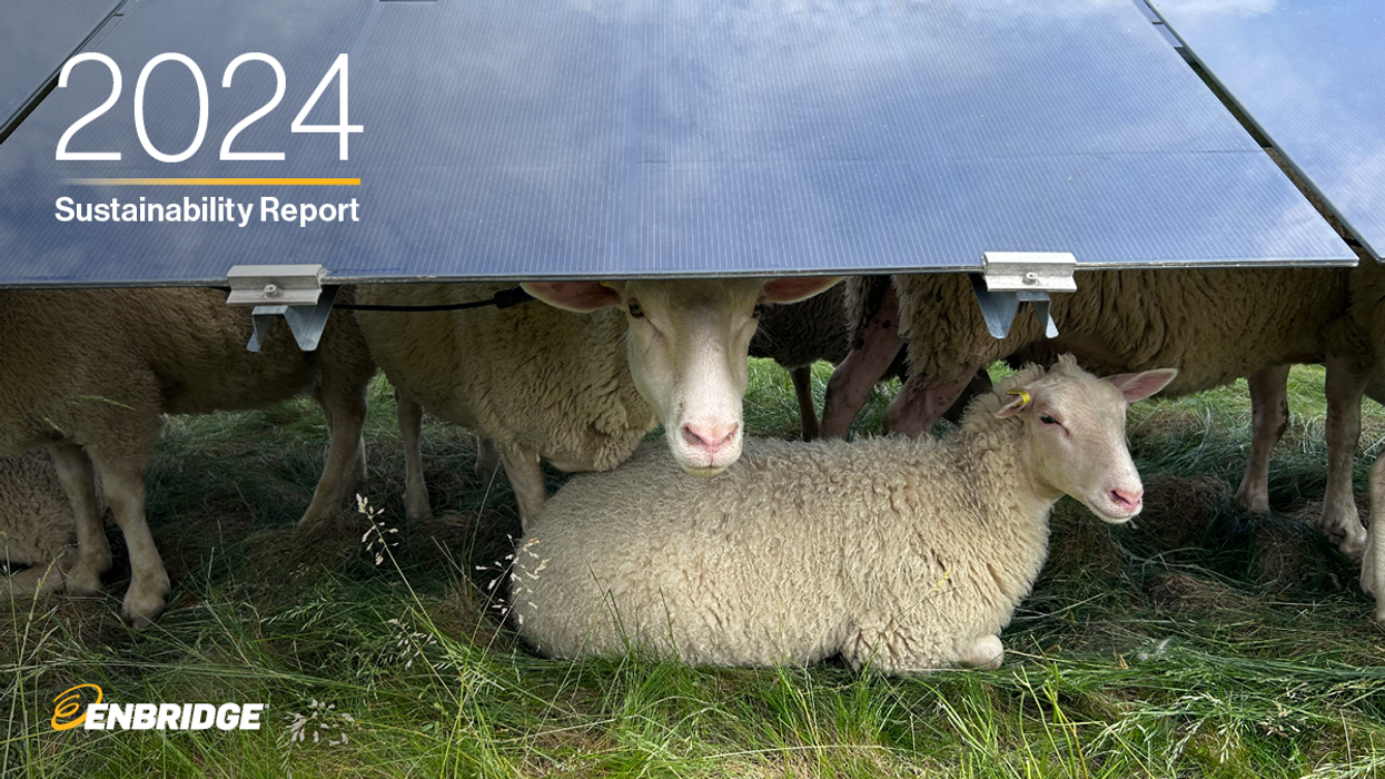 A flock of sheep at a farm | 2024 Sustainability Report Enbridge