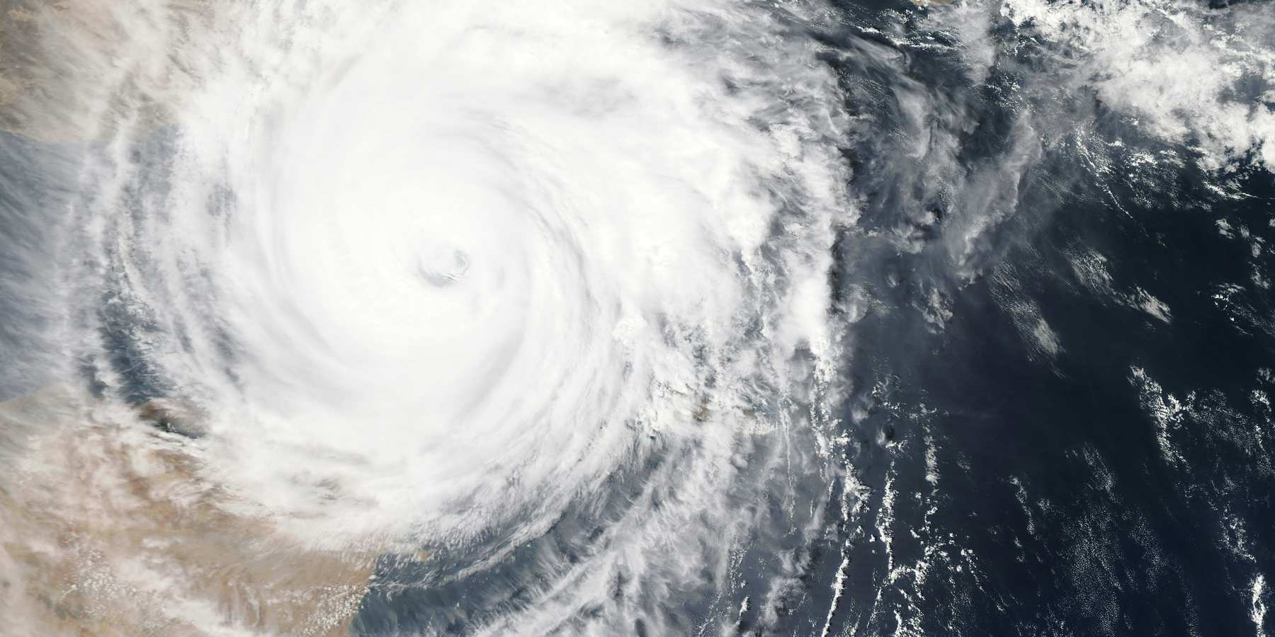 In the AI of the hurricane