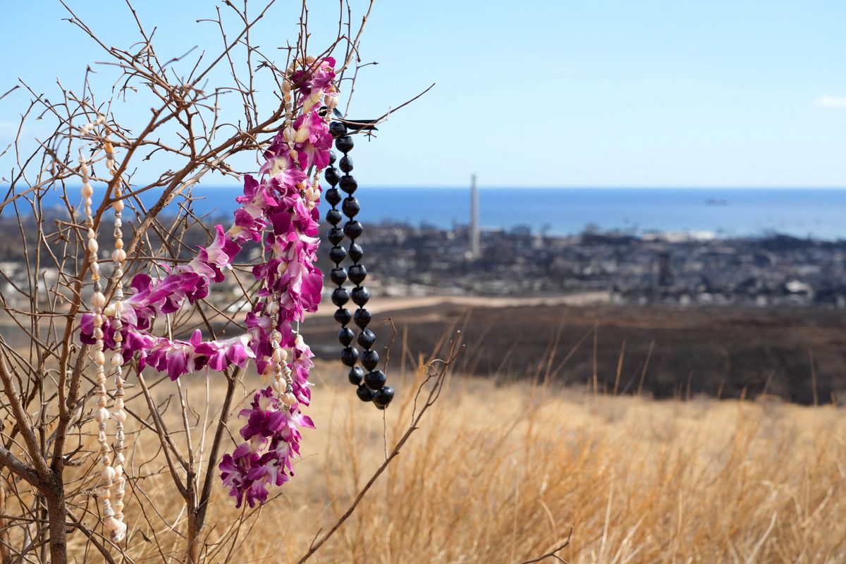 A makeshift memorial hangs on a tree overlooking burned houses and buildings in Lahaina, Maui. 