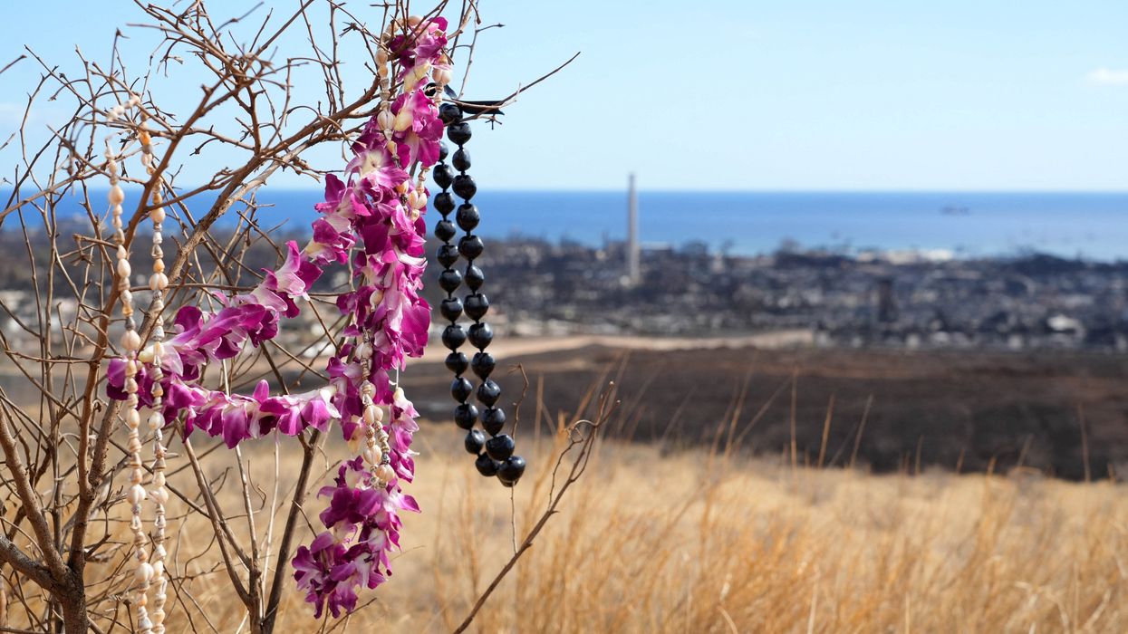 A makeshift memorial hangs on a tree overlooking burned houses and buildings in Lahaina, Maui.