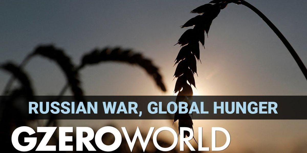 A perfect storm of food insecurity: a problem for all of us