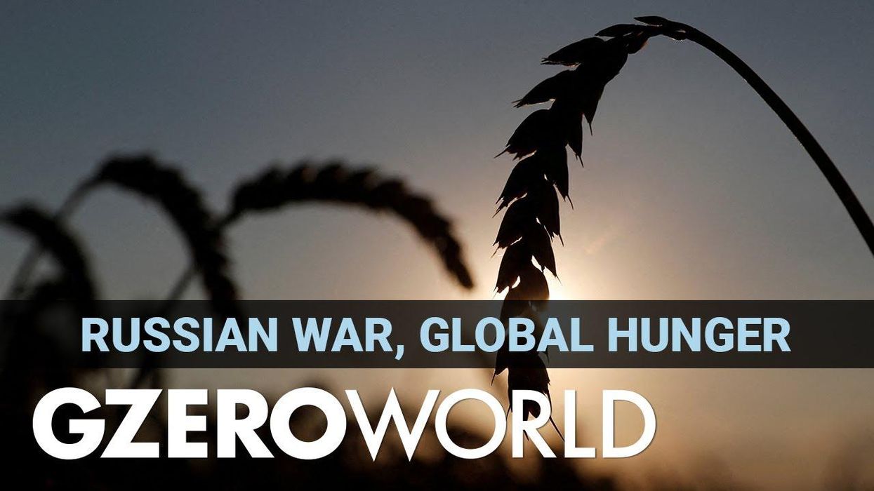 A perfect storm of food insecurity: a problem for all of us