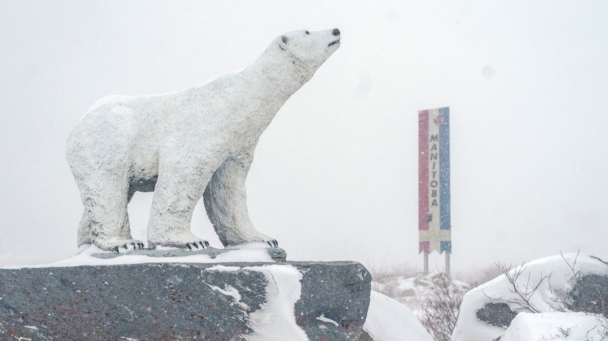 A polar bear statue is pictured during a blizzard in Churchill, Manitoba.