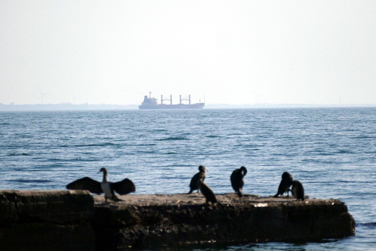 A Turkish cargo shop loaded with Ukrainian agricultural products leaves the Port of Odessa.