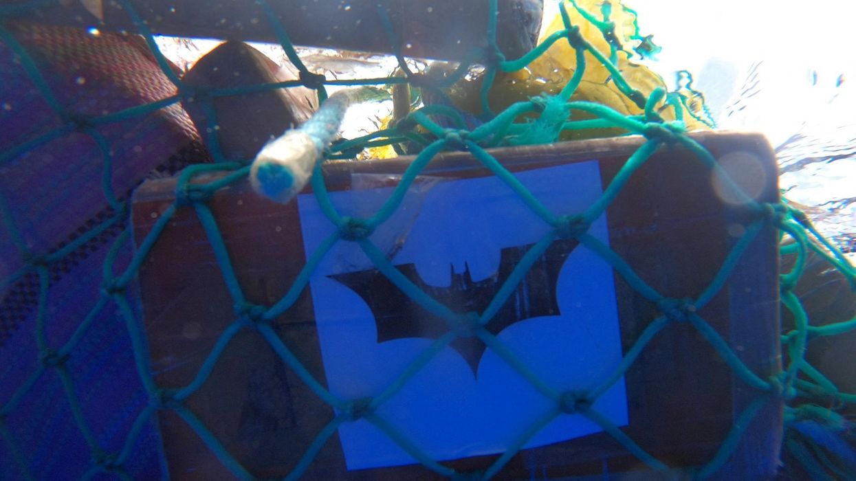 A view shows Batman logo on a box of cocaine, said to be recovered by New Zealand Police.