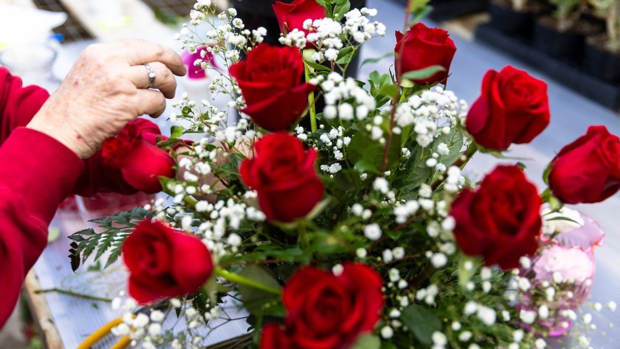 A volunteer florist adds baby's breath flowers to a Valentine’s Day rose bouquet on Thursday, Feb. 13, 2025.