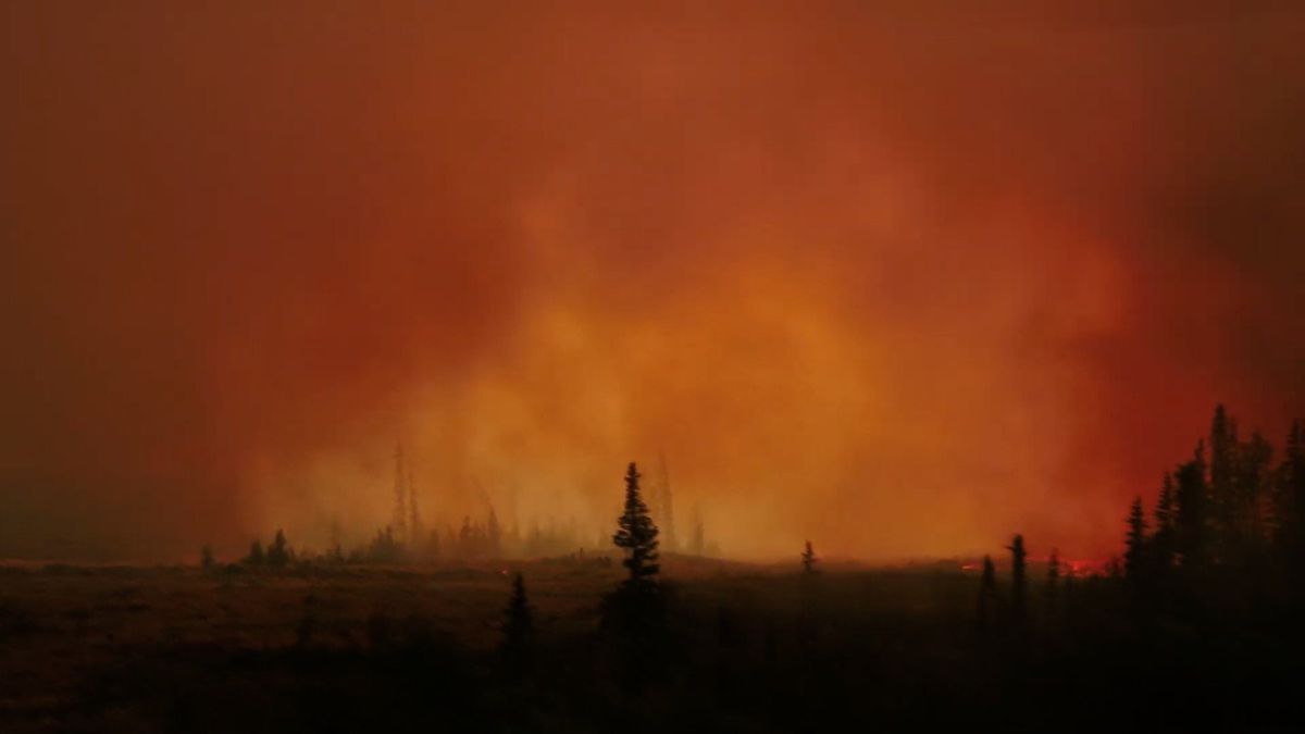 Aerial footage shows raging wildfire in British Columbia of Canada. 