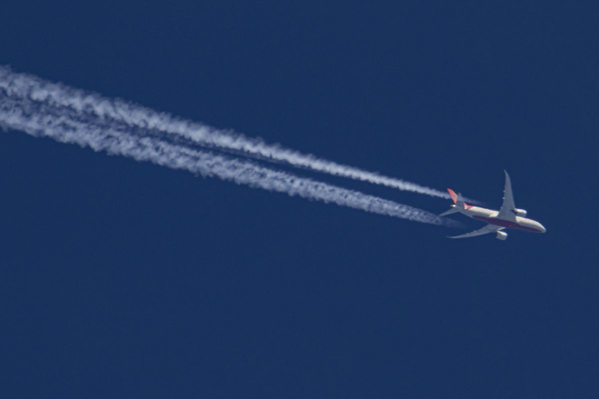 Air India flight