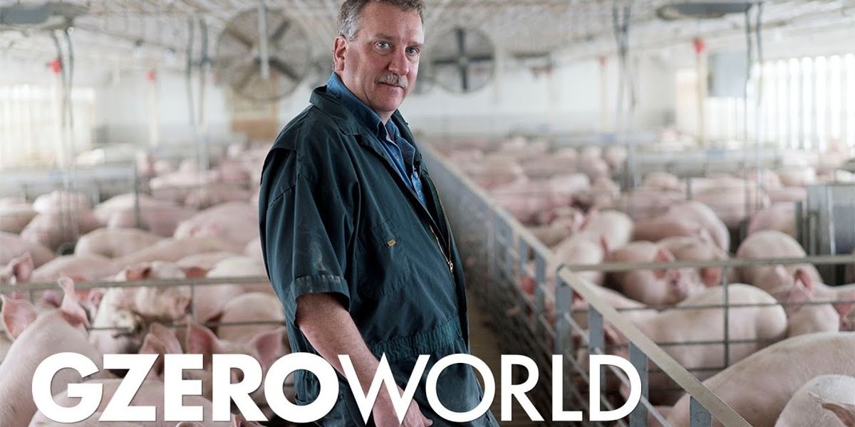 America’s meat supply crisis