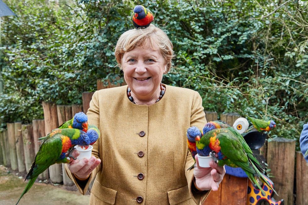 Angela Merkel feeds Australian lorises at a bird park. 