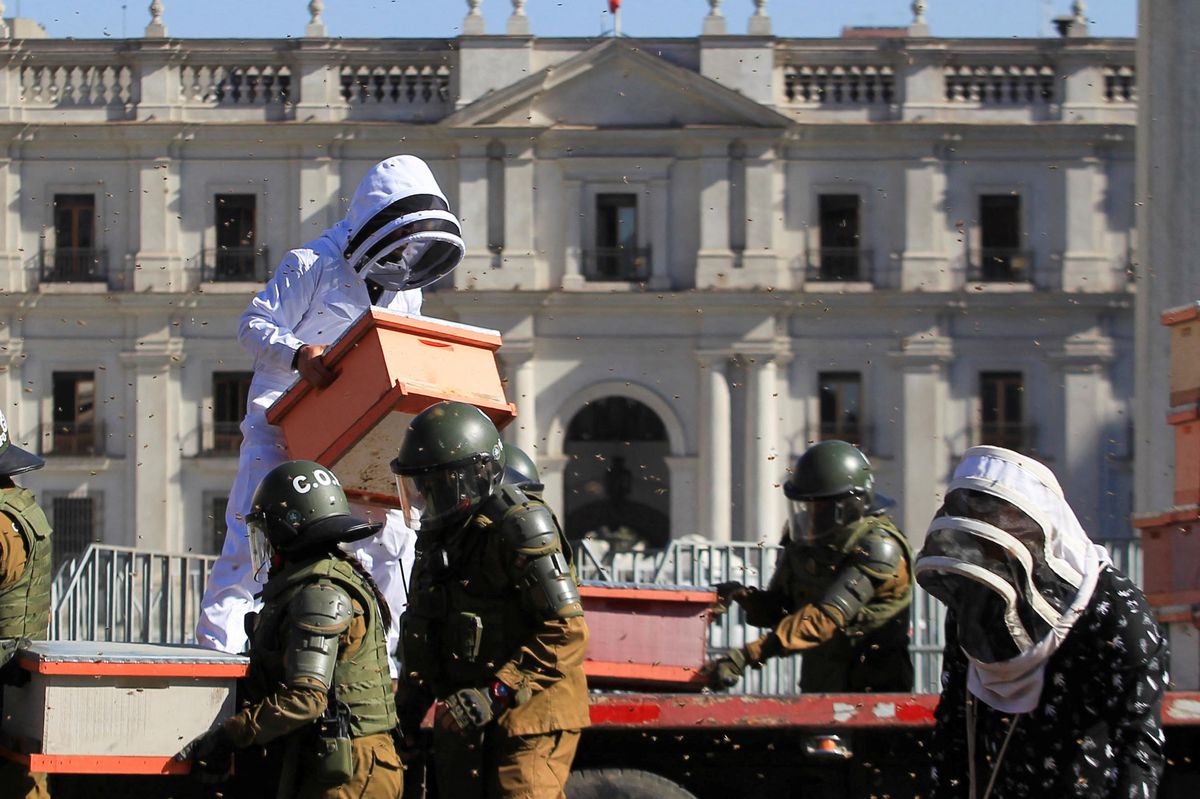 Beekeepers who demanded government measures to face the persistent drought that affects the country take part in a protest with honeycombs full of bees in front of the Chilean presidential palace, in Santiago, Chile, January 3, 2022
