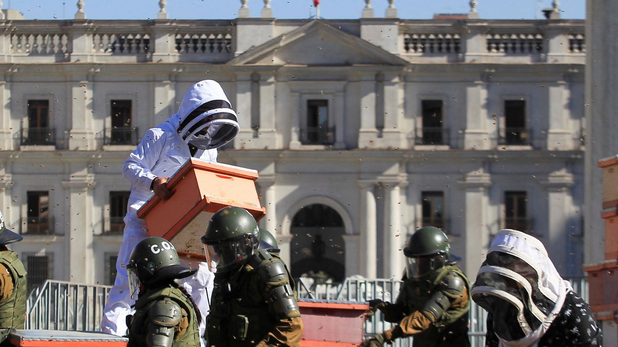 Beekeepers who demanded government measures to face the persistent drought that affects the country take part in a protest with honeycombs full of bees in front of the Chilean presidential palace, in Santiago, Chile, January 3, 2022