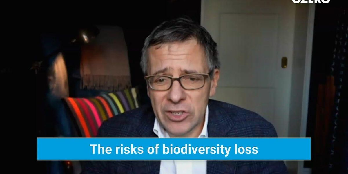 Ian Bremmer: Biodiversity loss might break the system and businesses aren’t ready