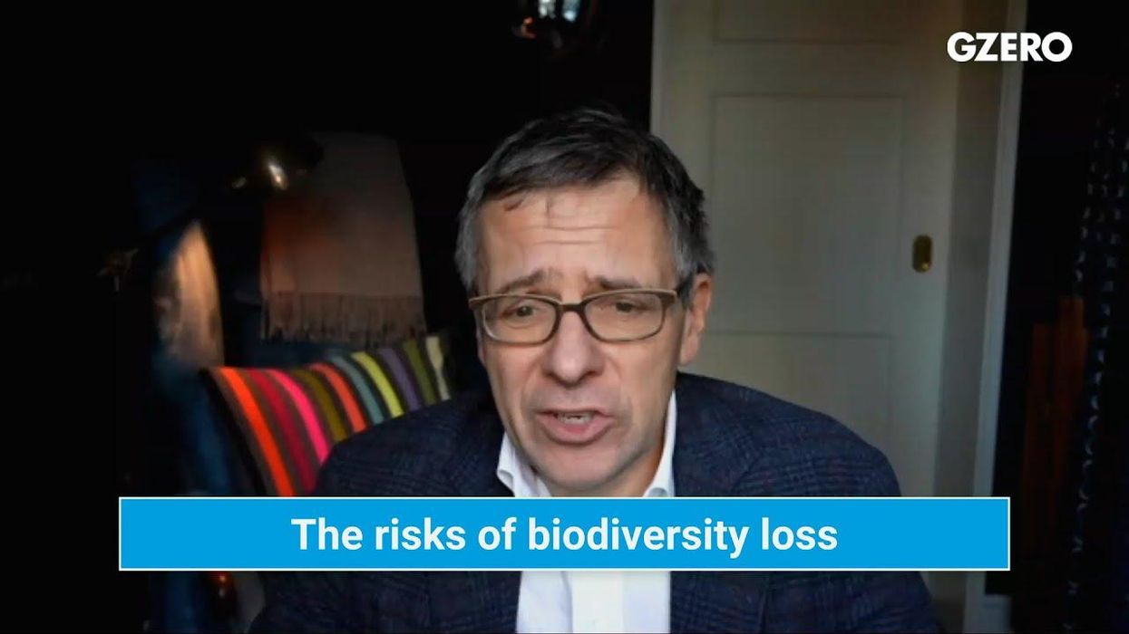 Ian Bremmer: Biodiversity loss might break the system and businesses aren’t ready