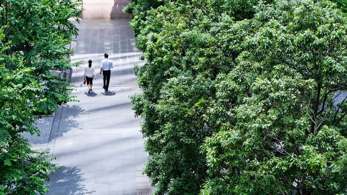 Bird's-eye view of two people walking through a tree-lined outdoor space