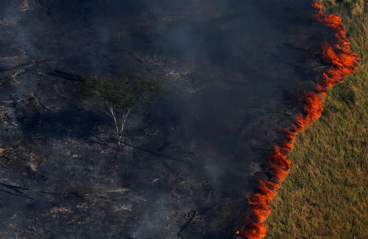 Burning forest is seen during "Operation Green Wave" conducted by agents of the Brazilian Institute for the Environment and Renewable Natural Resources, or Ibama, to combat illegal logging in Apui, in the southern region of the state of Amazonas, Brazil, August 4, 2017