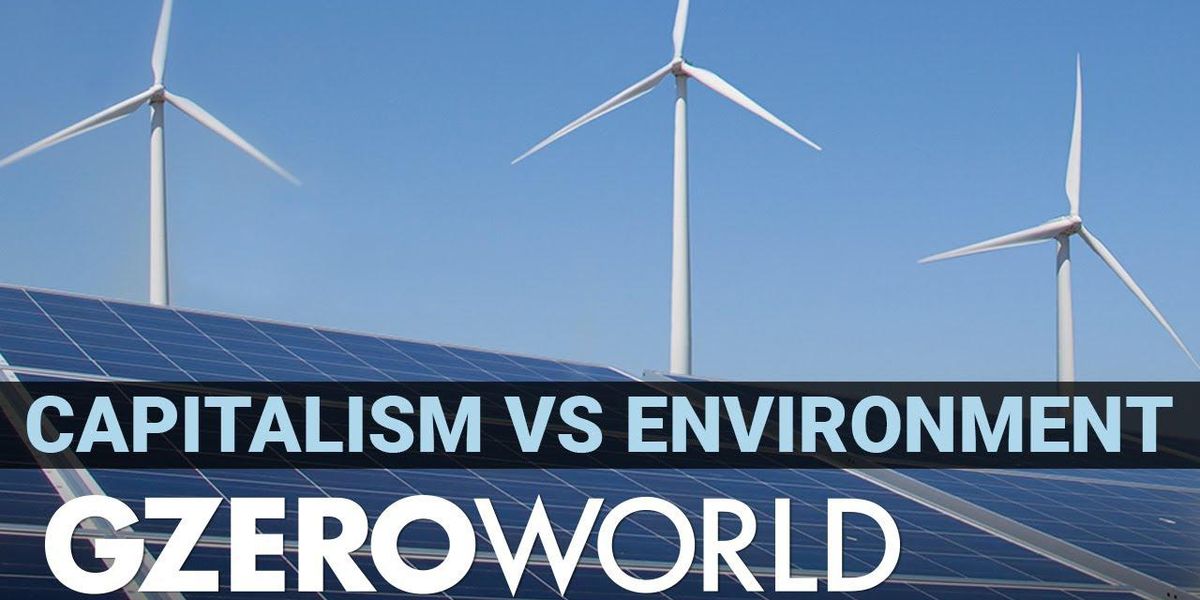 Capitalism can’t solve a climate crisis in a collapsed world, says UN’s Inger Andersen