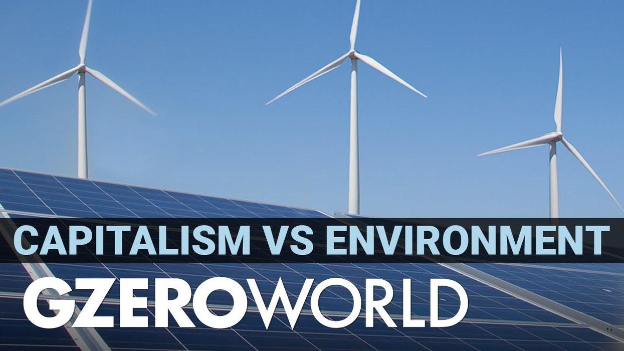 Capitalism can’t solve a climate crisis in a collapsed world, says UN’s Inger Andersen