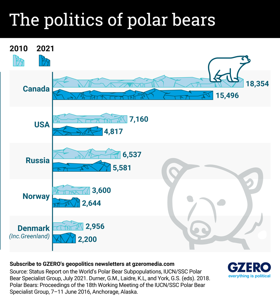 Polar Bear Global Warming Graph