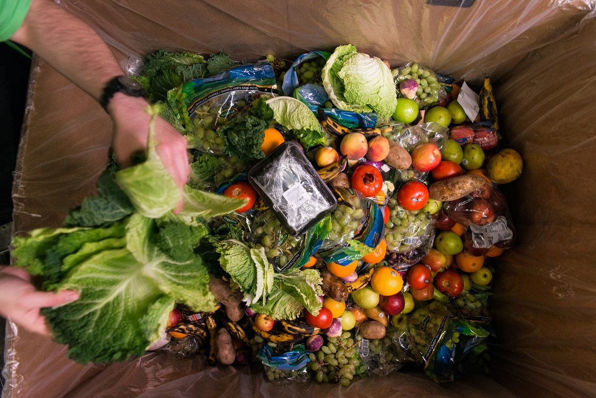 Compost bin
