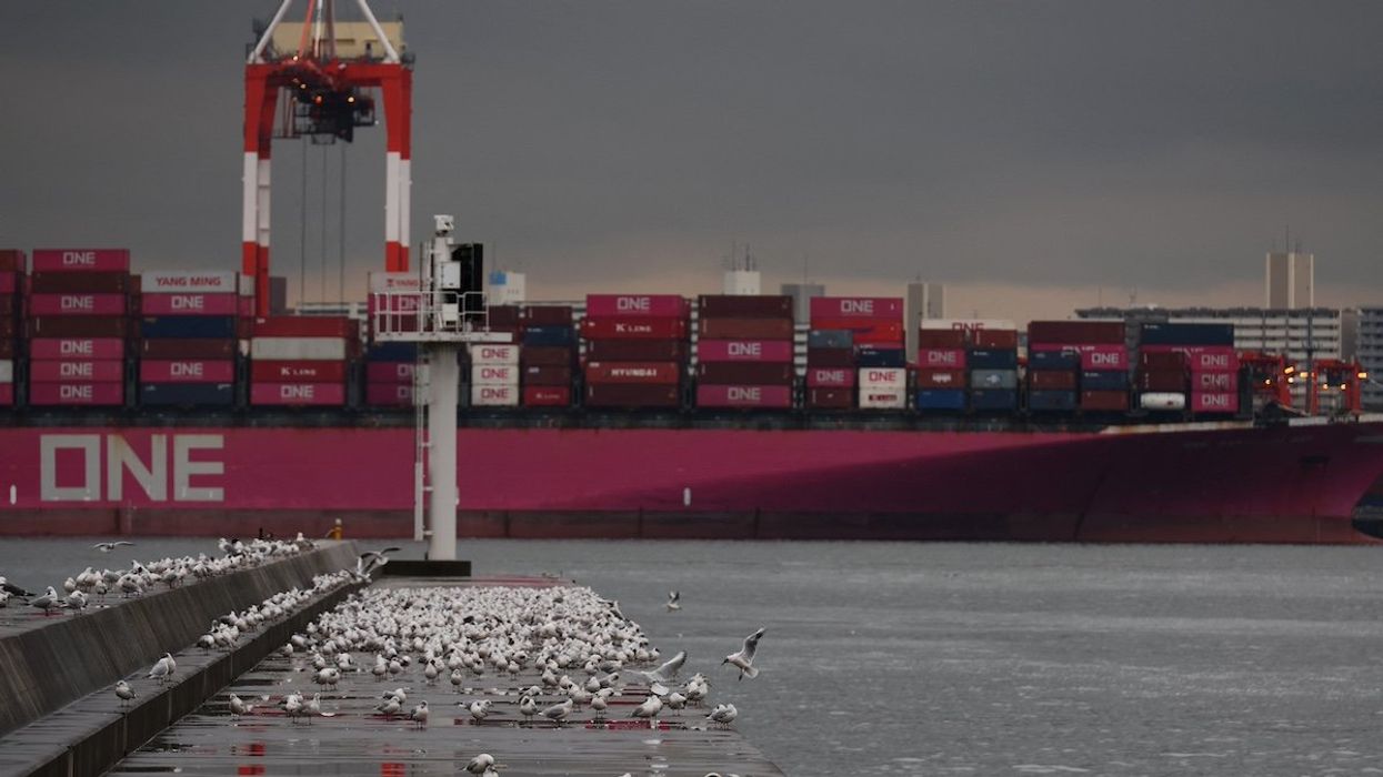 Containers on a cargo ship are seen at an industrial port in Tokyo, Japan April 3, 2025.