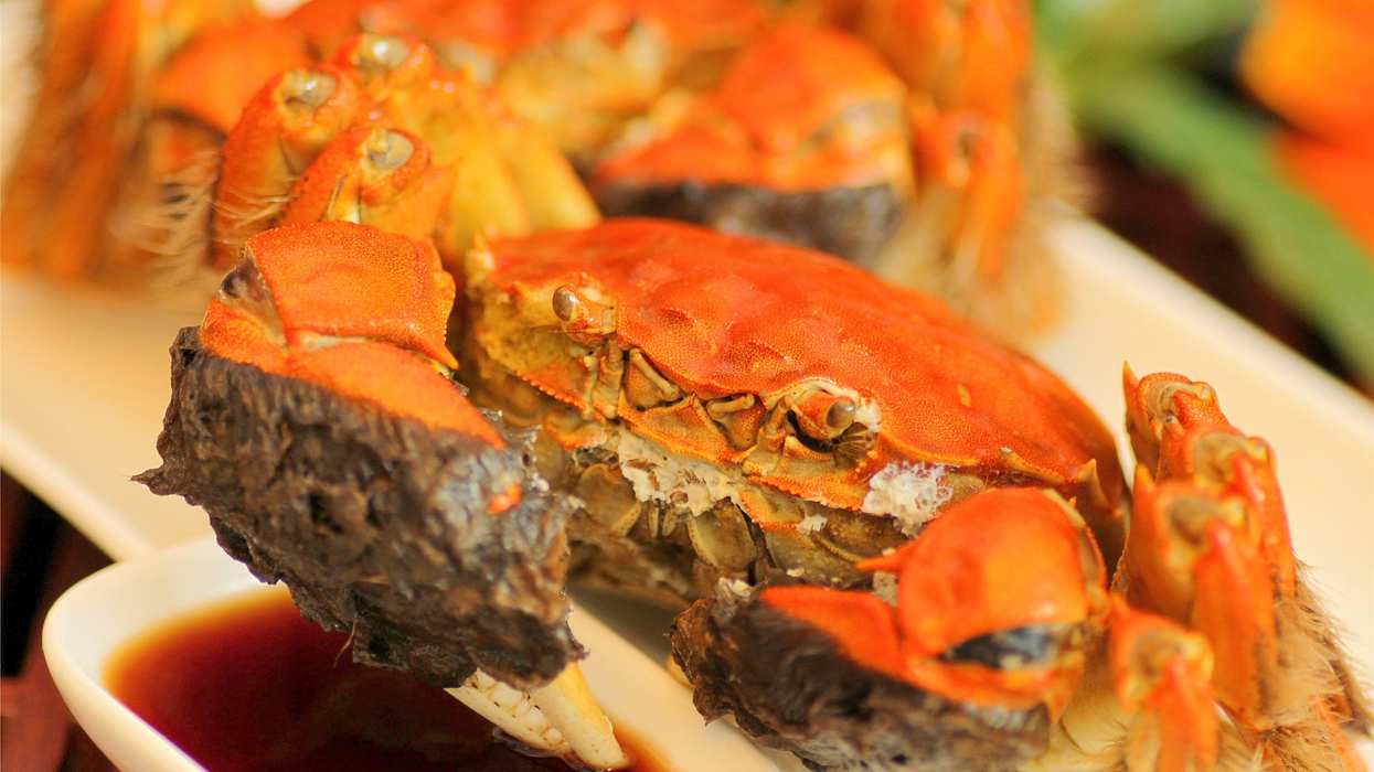 Cooked hairy crabs served at a hotel in Guangzhou, China.
