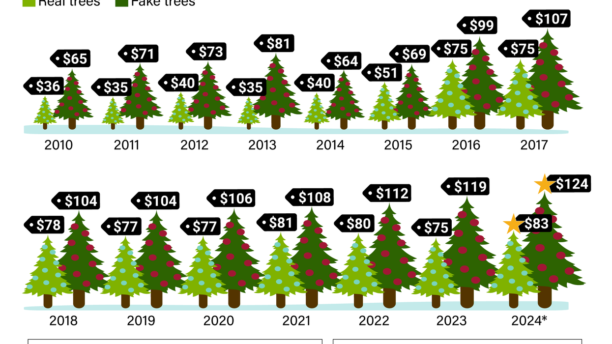 Cost of Christmas Trees over time