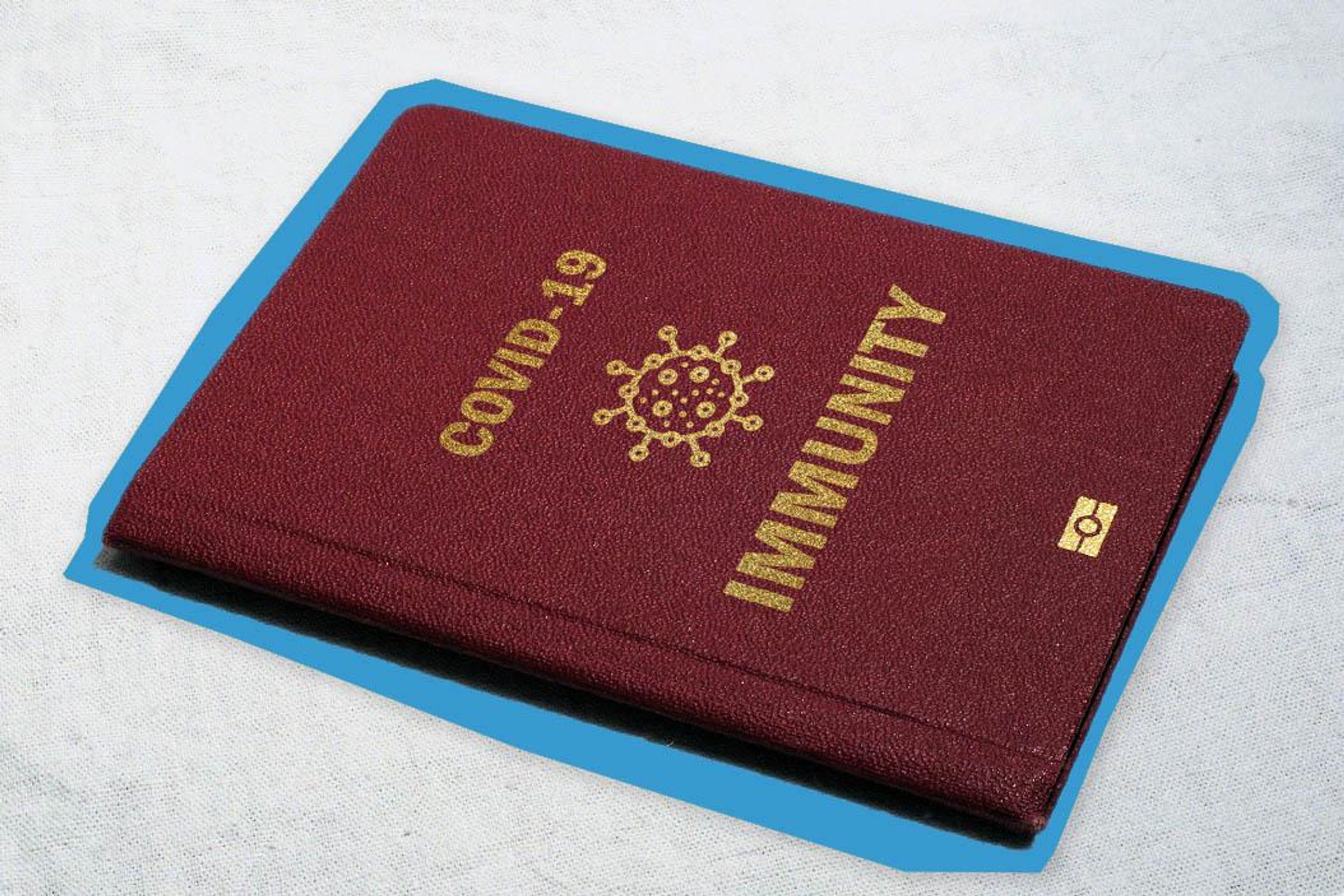 COVID immunity passport. Art by Gabriella Turrisi