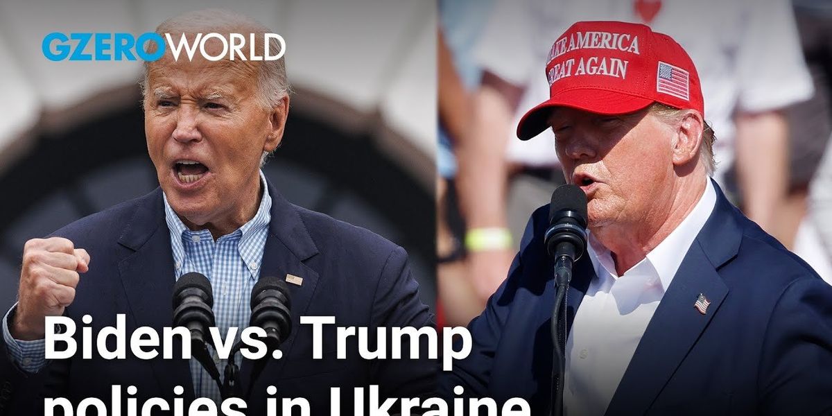 Election 2024: Are American allies worried about the US presidential election?