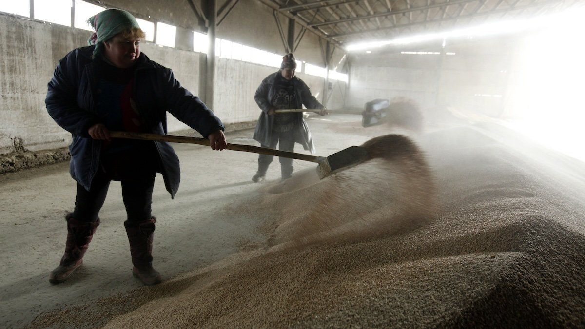 Employees work at a grain store in Russia's southern city of Stavropol on Feb. 2, 2011.