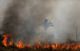 What We’re Watching: Brazil Rejects G7 Amazon Aid
