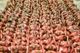 Coronavirus Politics Daily: Salvadoran gang crackdown, Taiwan and the WHO, Russian (dis)information
