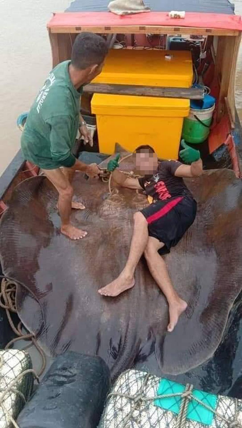 Killing of endangered stingray in Malaysia sparks outrage