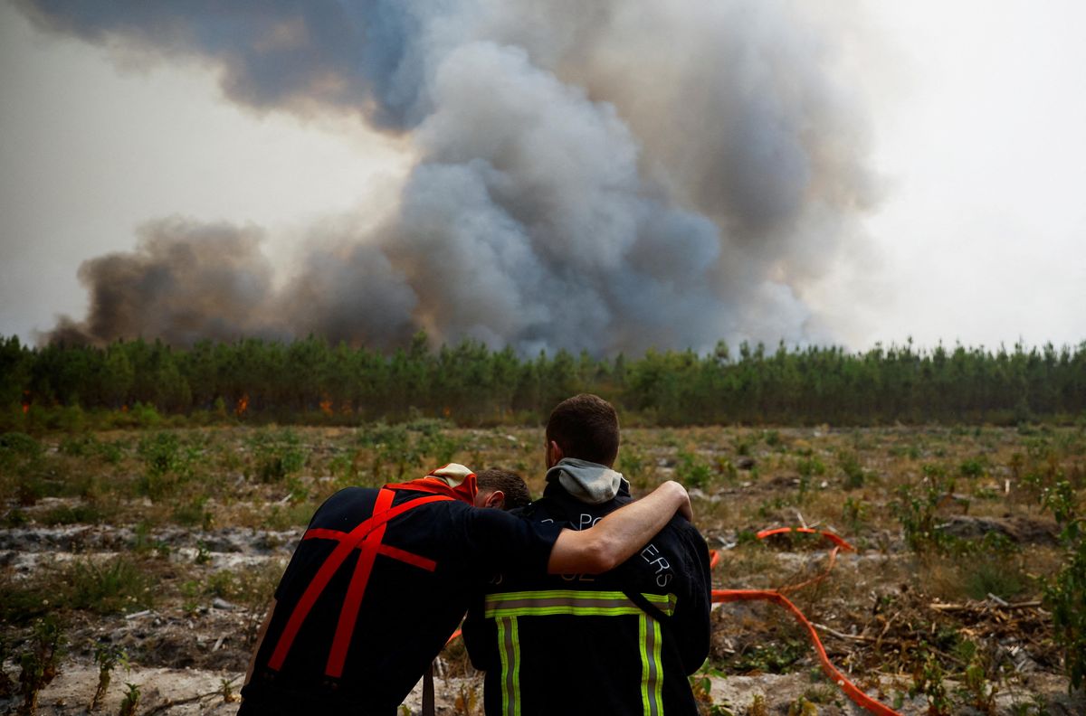 Fires in French wine country, Sweden gives Turkey a bone, fertilizer emergency, monkeys at risk