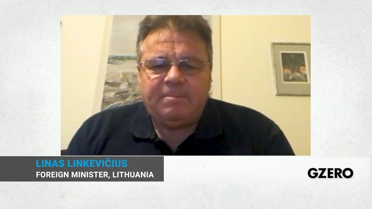 Foreign Minister Linas Linkevičius on Lithuania, Belarus, NATO & Trump