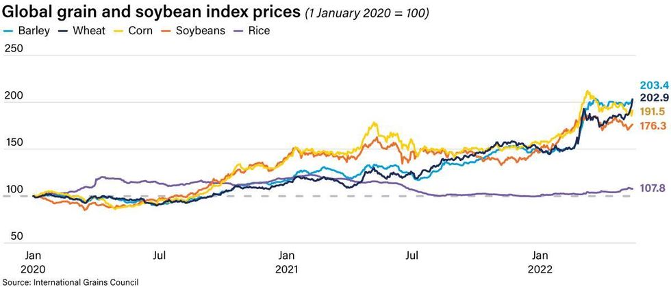 Global grain and soybean index prices