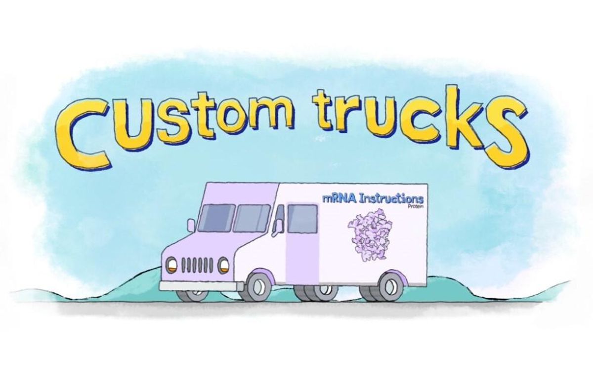 Graphic text: Custom trucks. Illustration of a truck with the words "mRNA Instructions" on the side of it