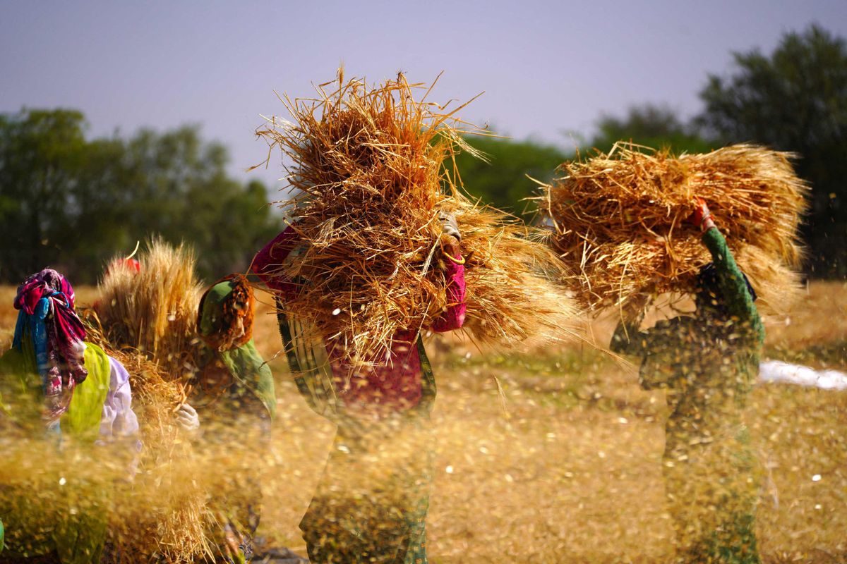 Hard Numbers: Less wheat for poor Indians, Ukraine gets US Javelins, zero-COVID costs China, pages for pardons