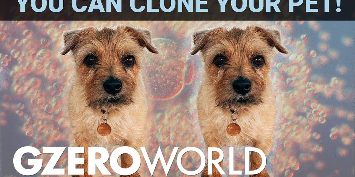 You can clone your pet