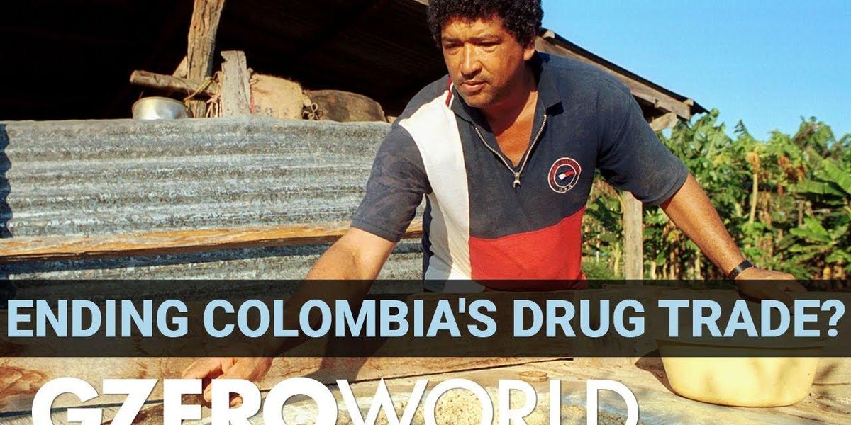 How to solve Colombia's cocaine problem