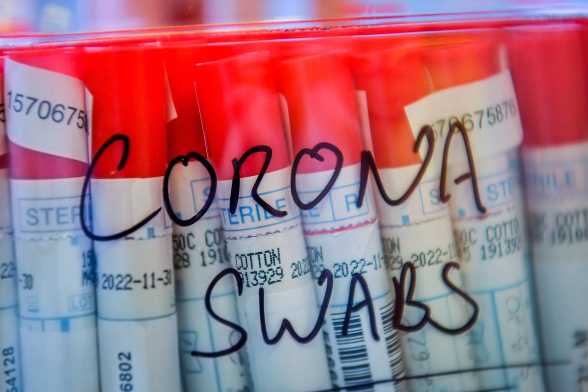 Hard Numbers: US virus testing, fighting in Yemen, Colombian turtles, and Ethiopian tongues