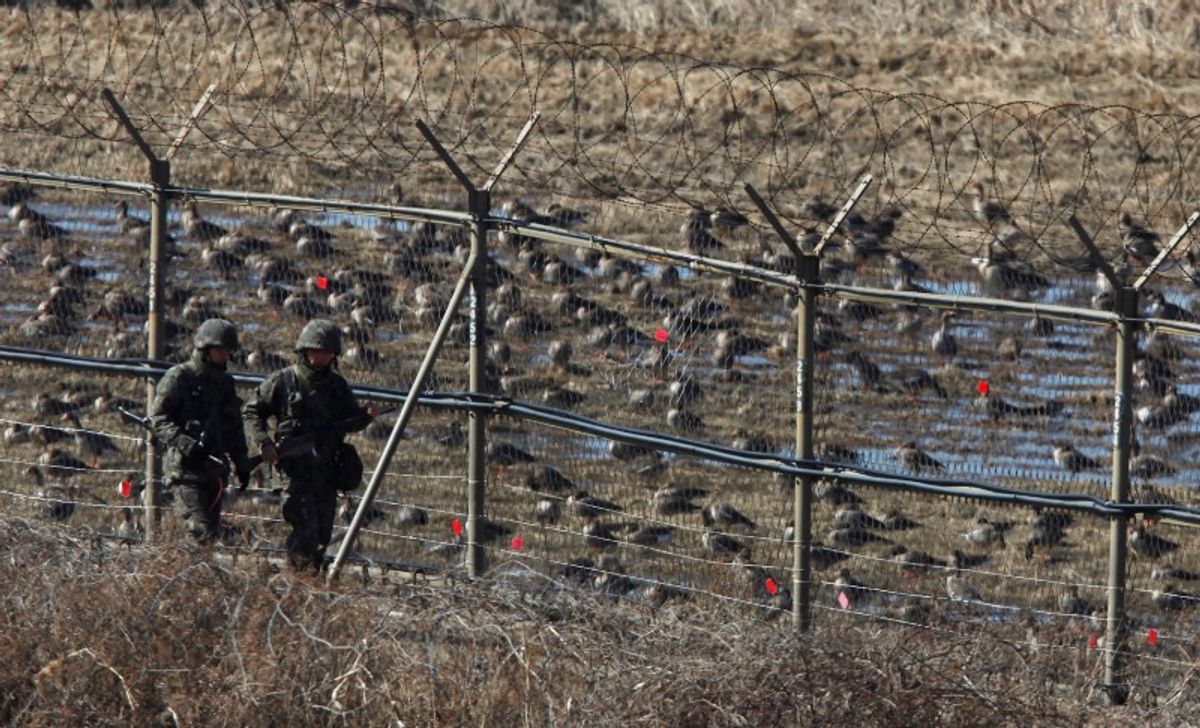 NATURE INTERLUDE: THE DMZ IS FOR THE BIRDS