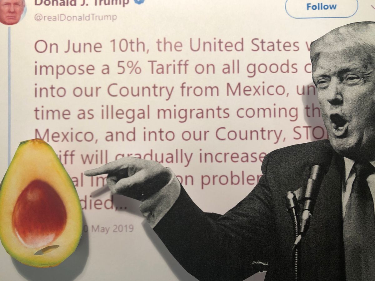 Trump Vows Mexico Tariffs: Who would they Hit, and Why?