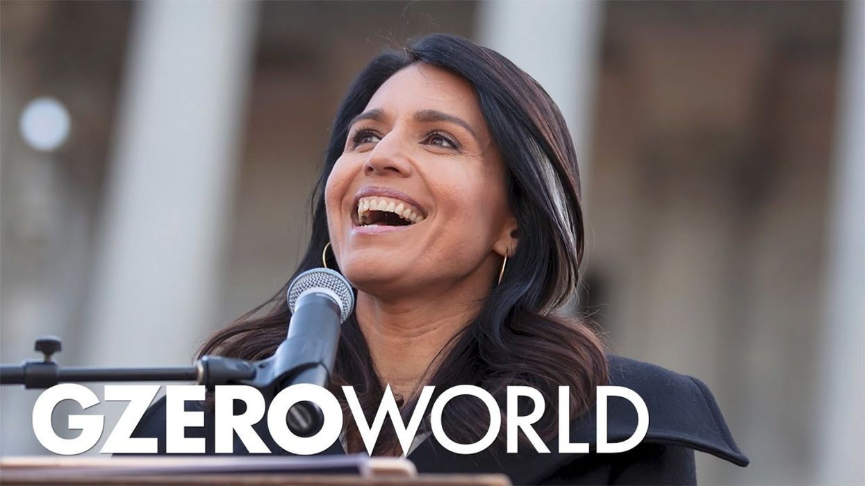 Steve Bannon would vote for Tulsi Gabbard