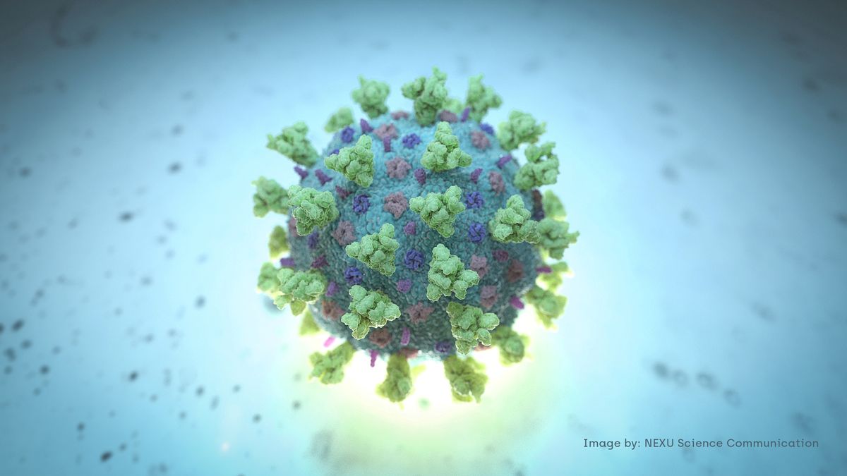 Coronavirus is tearing us apart, together