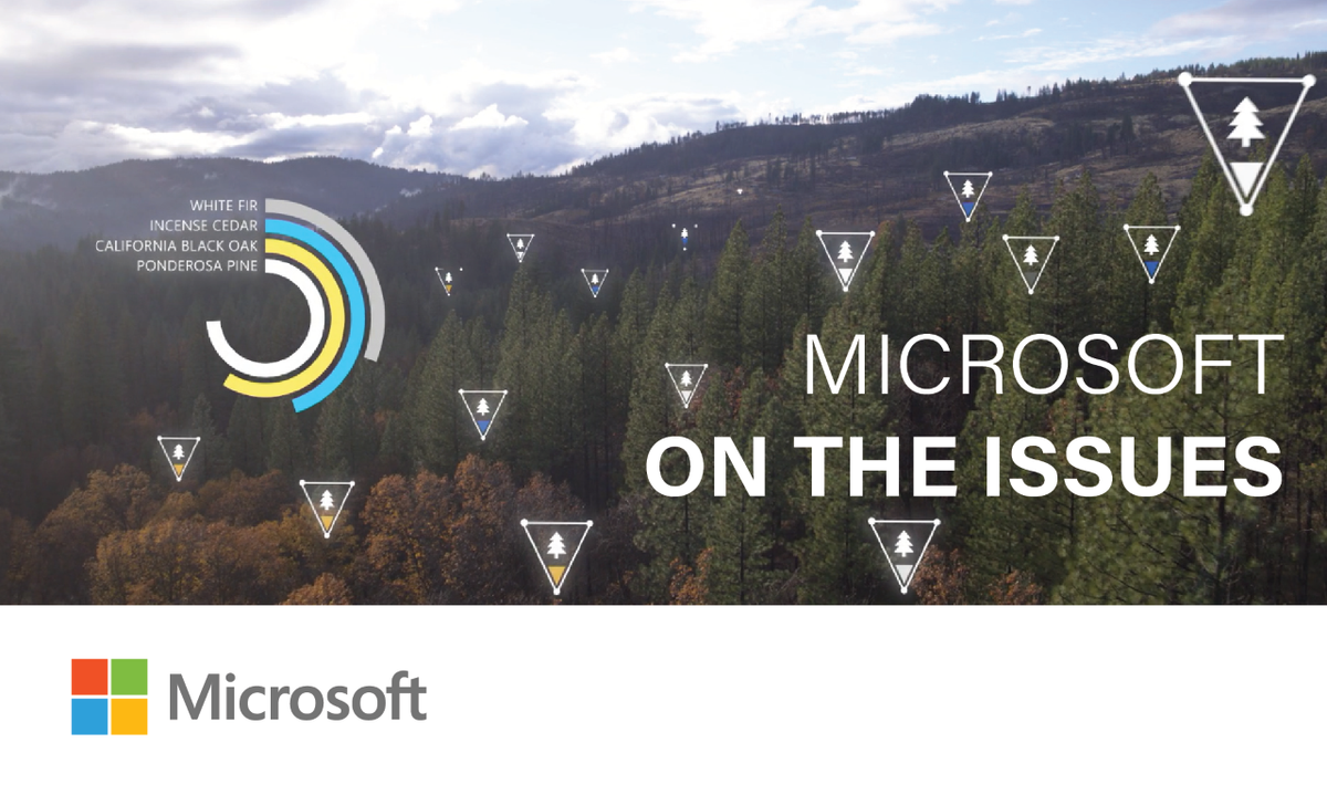 A Message From Microsoft